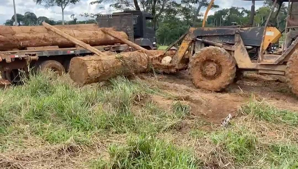 Operação conjunta de órgãos do Estado e da União resulta em apreensão de madeira em Capixaba