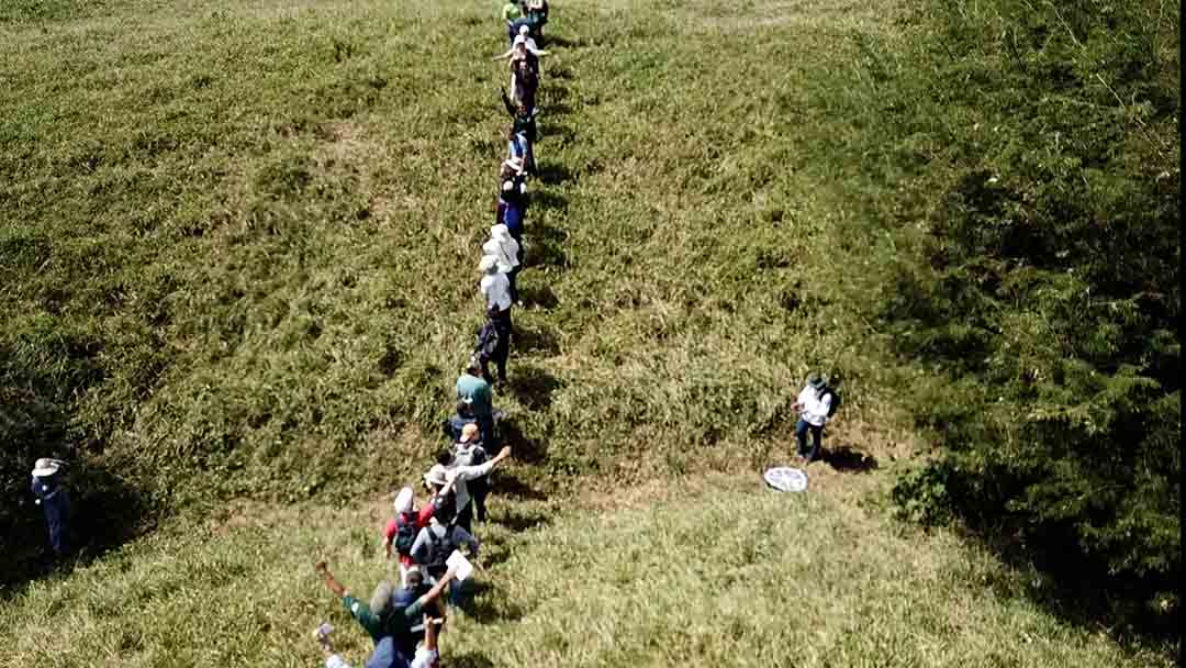 08.jpg