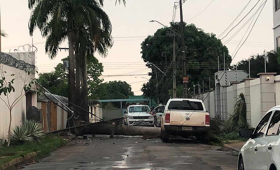 Vendaval derruba árvores e gera apagão em vários bairros de Rio Branco