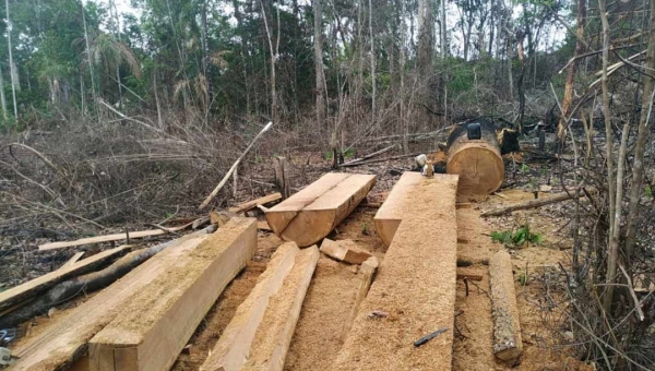 PF apreende motosseras e conduz três pessoas à delegacia por crime ambiental em Xapuri