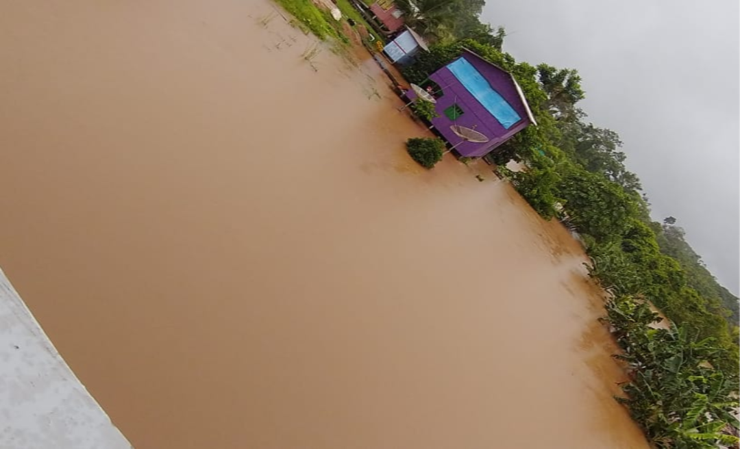 Rio Tauari transborda e invade casas e roçados dos moradores da zona rural de Tarauacá