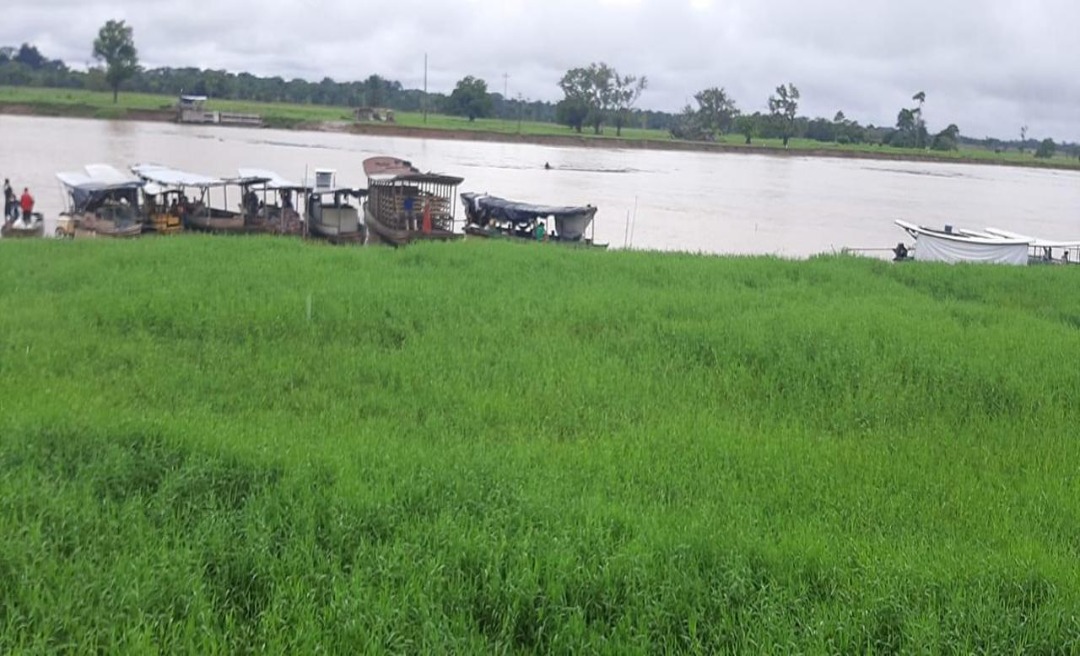 Rio Tarauacá volta a subir e preocupa Defesa Civil, ao atingir cota de alerta 