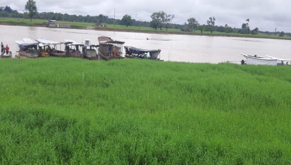 Rio Tarauacá volta a subir e preocupa Defesa Civil, ao atingir cota de alerta 