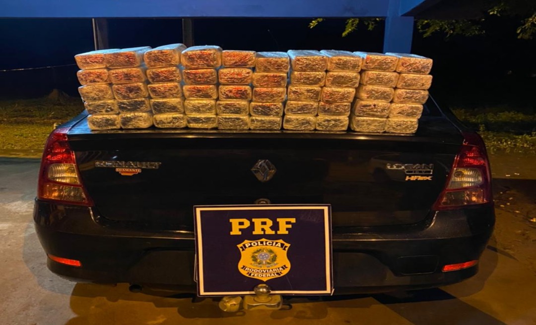 Patrulheiros da PRF apreendem 54 quilos de cocaína escondidos em caminhão cegonha 