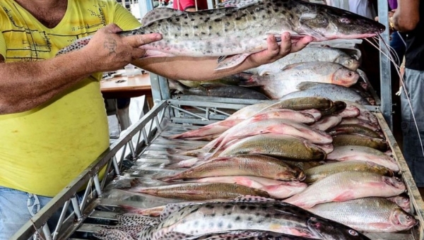 Para evitar aglomeração, Feira do Peixe na Semana Santa é cancelada pela prefeitura 