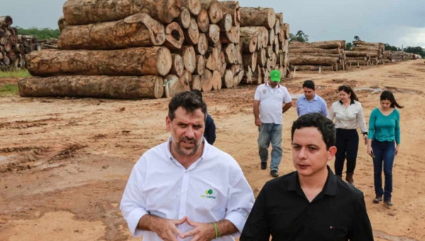Setor Madeireiro é o carro-chefe da economia do Acre quando o assunto é exportação