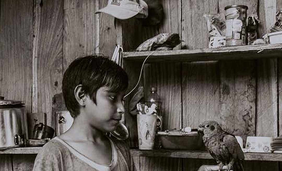 Cortina de Fumaça – O real interesse de Sebastião Salgado na construção da estrada de Pullcapa