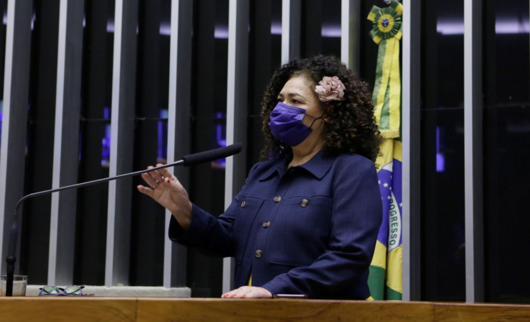 Perpétua defende PL que suspende parcelas de financiamento de veículos para taxistas