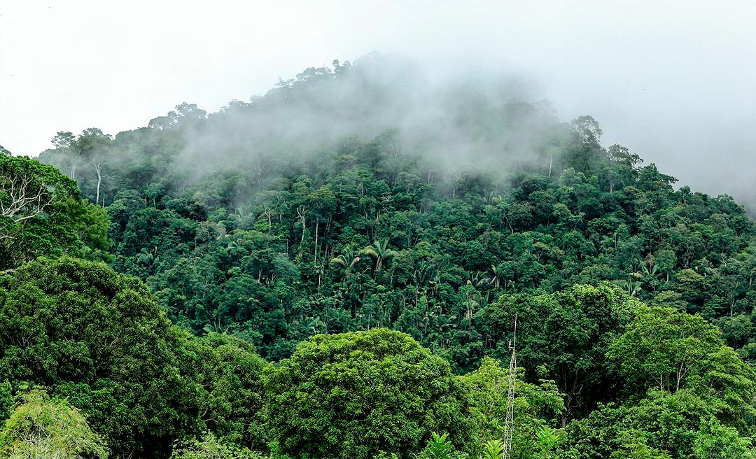 Serra do Divisor: paraíso natural do Acre que encanta com cachoeiras e trilhas incríveis