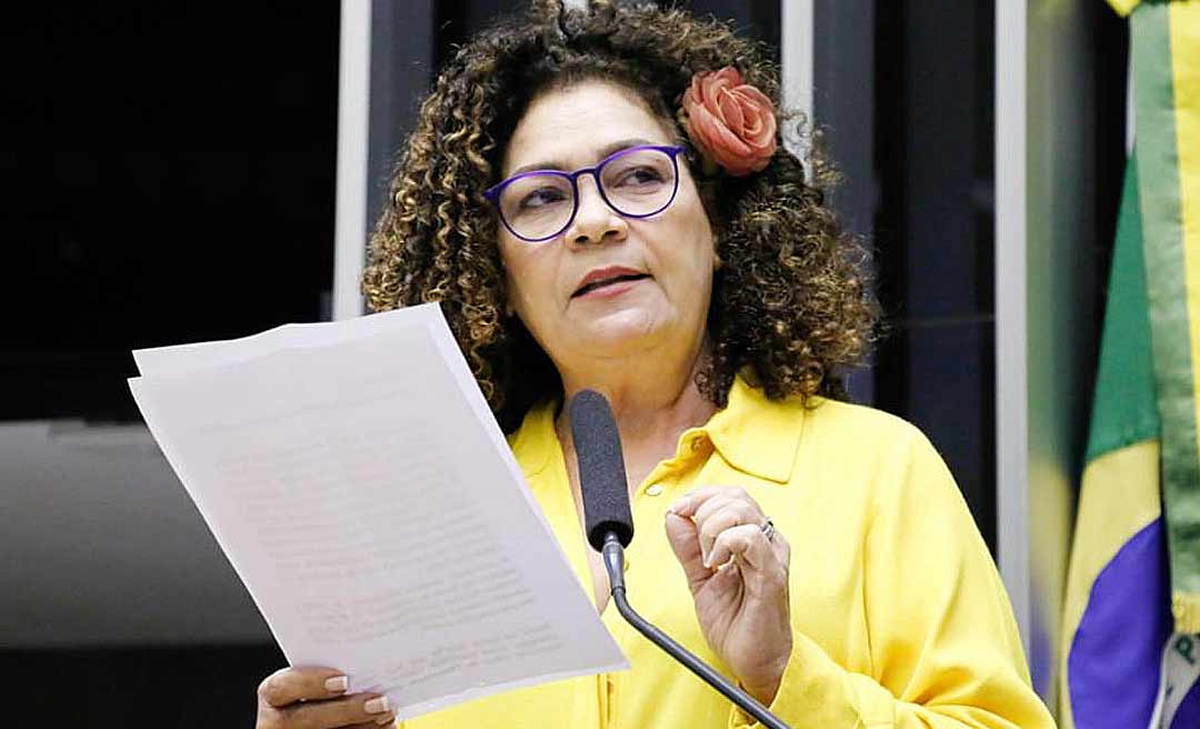 Perpétua cobra do governo o cumprimento da Lei do piso salarial da Educação: “A lei precisa ser cumprida”
