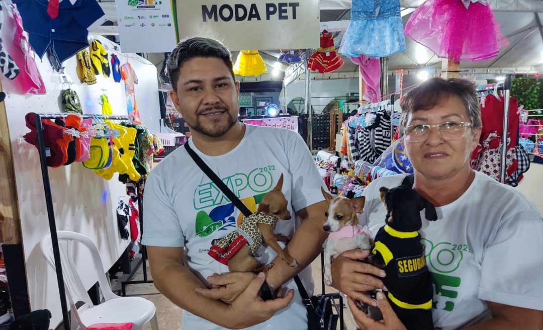 Pinschers fazem sucesso como modelos de confecções para pets