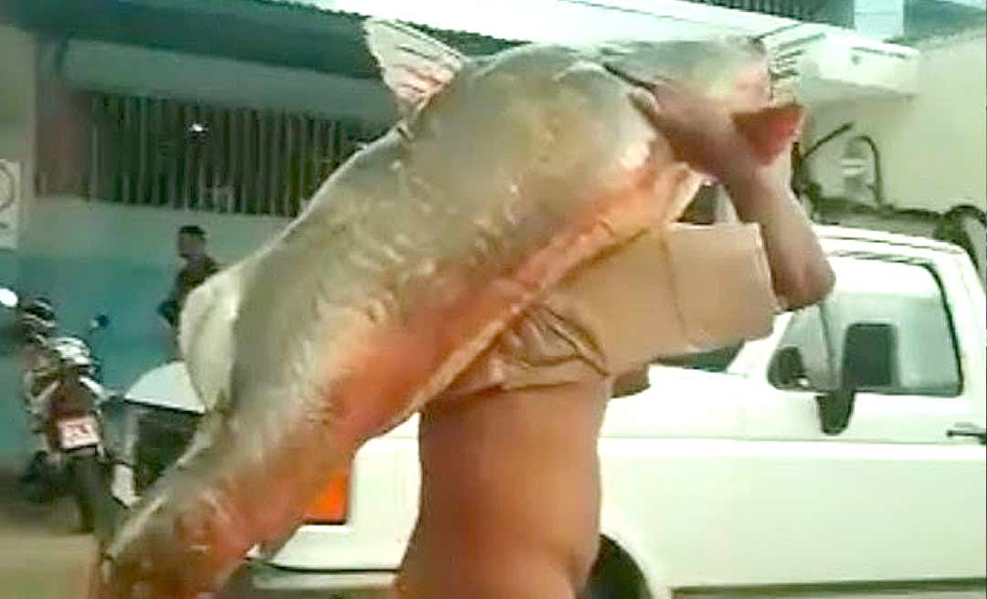 Morador de Cruzeiro do Sul fisga peixe com quase 80 quilos e mais de 1,5 metro no Rio Môa