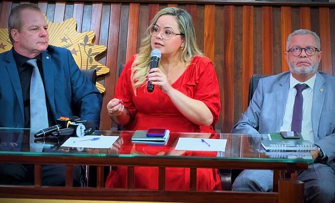 Crise aérea: líder do governo deputada Dra. Michelle Melo cobra melhorias para o setor