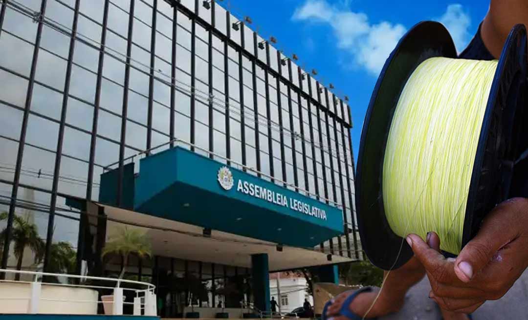 Deputados aprovam lei que proíbe a fabricação, comercialização e uso da linha chilena e do cerol na soltura de pipa