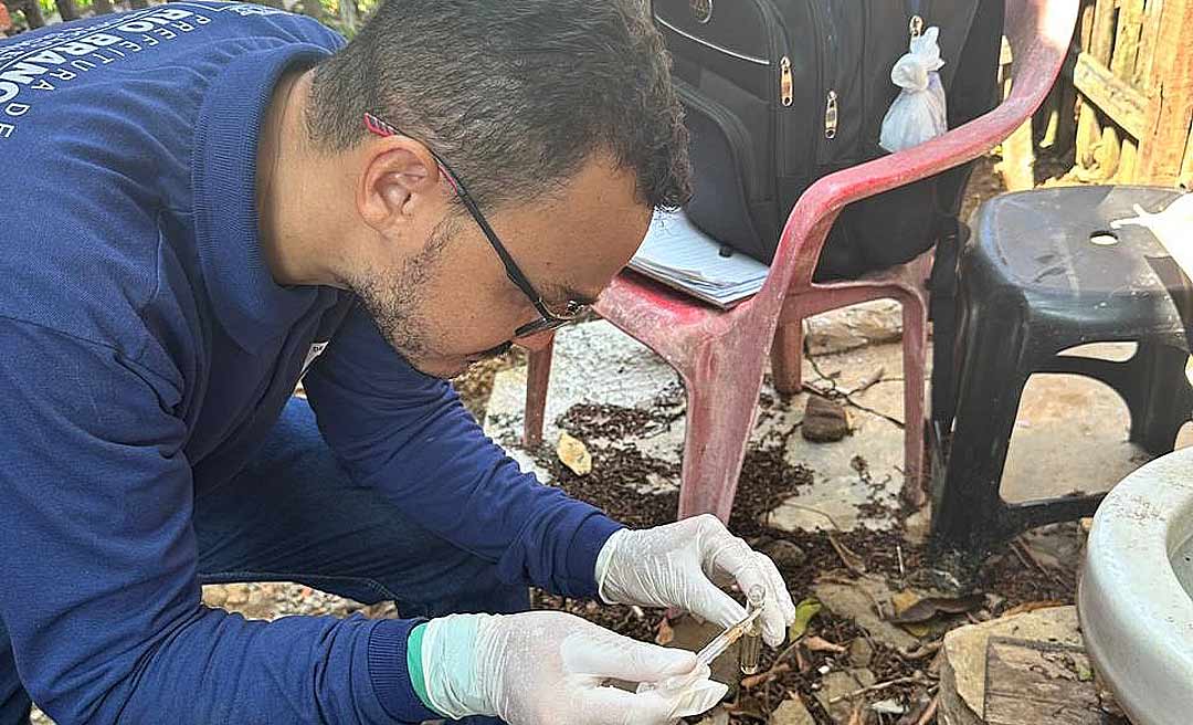 Prefeitura de Rio Branco pede que população redobre cuidados na limpeza de quintais para evitar mosquito da Dengue