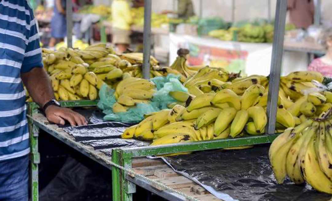 Banana lidera produção no Acre, revela pesquisa nacional