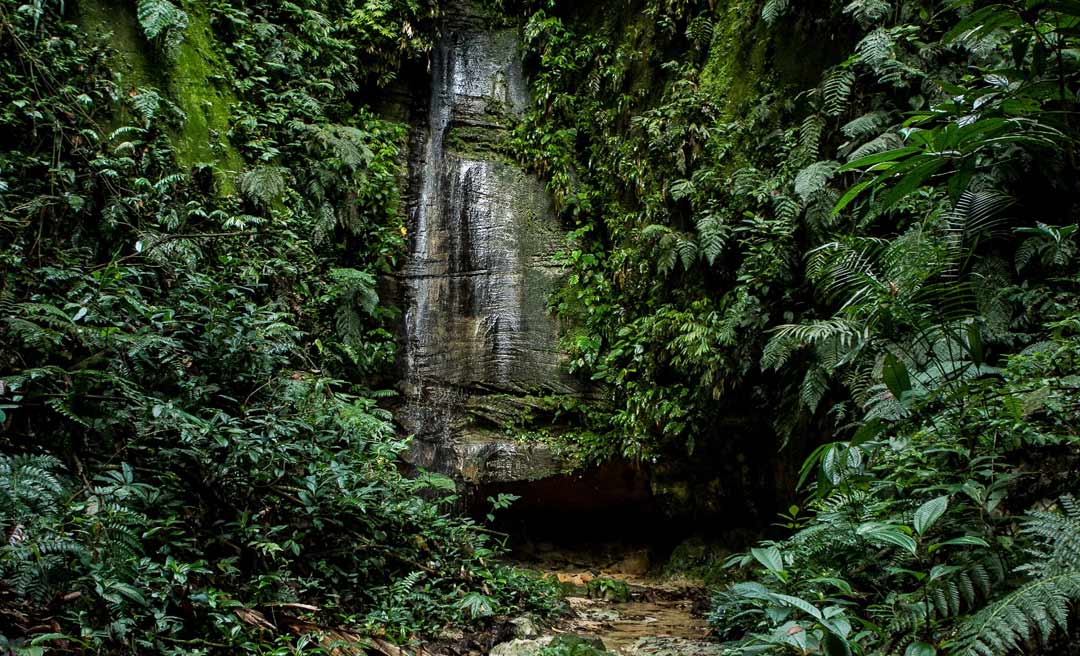 Acre apresenta redução de 66% nos alertas de desmatamento no início de março