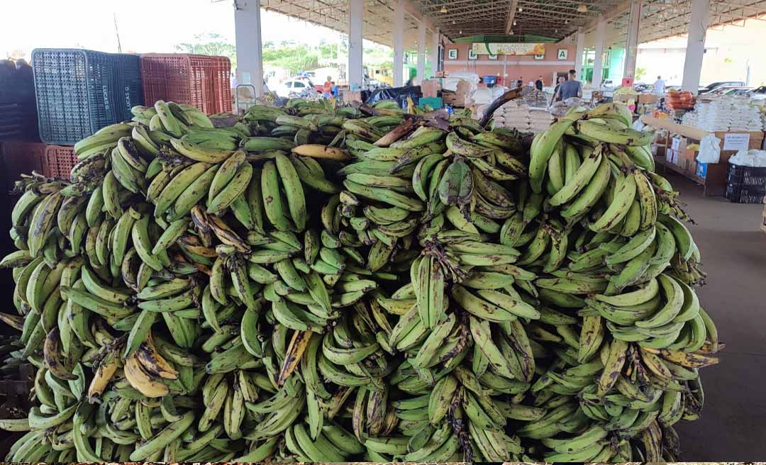 Preço da banana despenca nas feiras livres e encarece em supermercados de Rio Branco