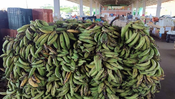 Preço da banana despenca nas feiras livres e encarece em supermercados de Rio Branco