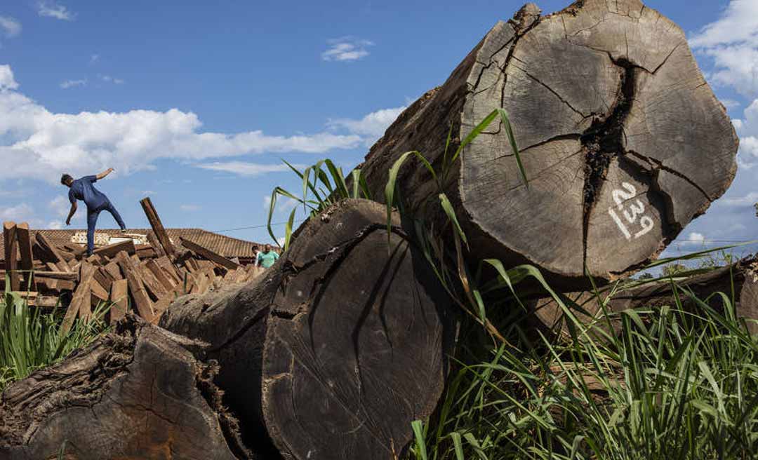 Pesquisa aponta para falta de estudo de impacto ambiental na área que compreende a Amacro, que reúne terras do Acre, Amazonas e Rondônia