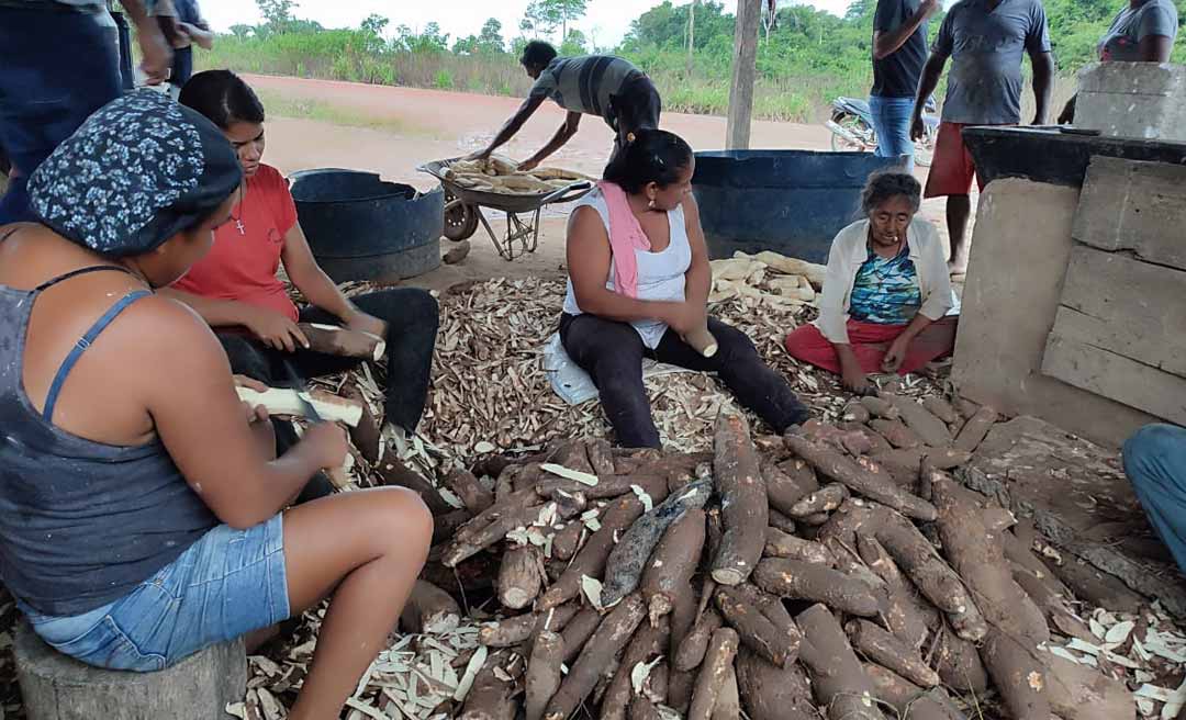Praga da lagarta coloca em risco plantações de mandioca na zona rural de Rio Branco; Seagro realiza palestra com produtores