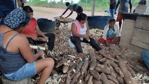 Praga da lagarta coloca em risco plantações de mandioca na zona rural de Rio Branco; Seagro realiza palestra com produtores