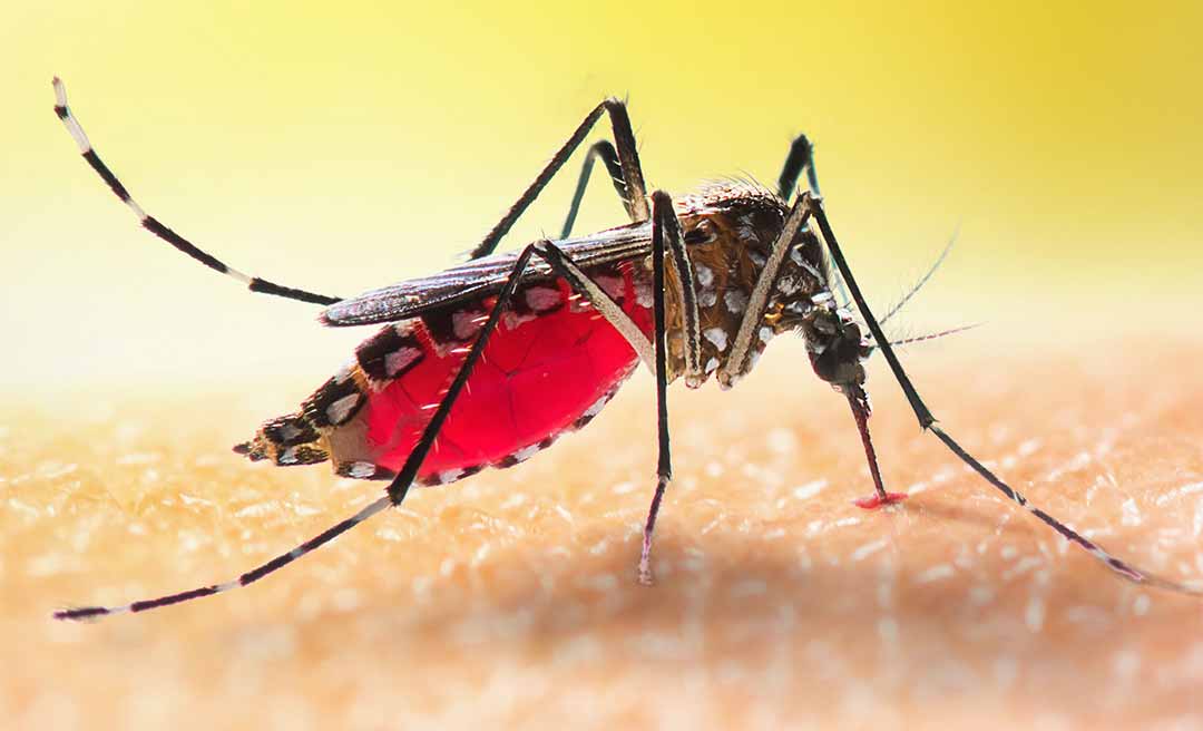 Dengue segue em queda no Acre agora em abril com o fim do inverno amazônico