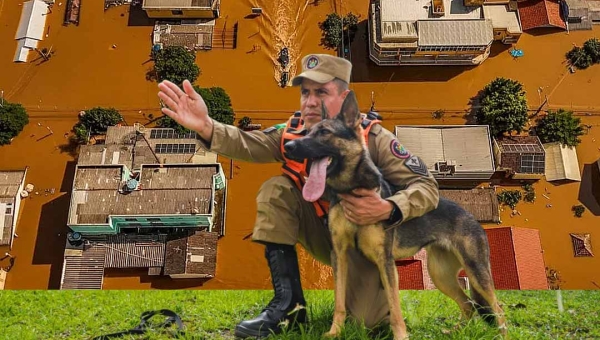 Governo do Acre envia bombeiros, cães farejadores e recursos para apoio humanitário no Rio Grande do Sul