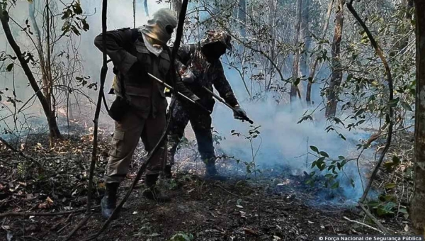 Ministério da Justiça autoriza envio da Força Nacional para combater incêndios em Boca do Acre e outros quatro municípios do Amazonas