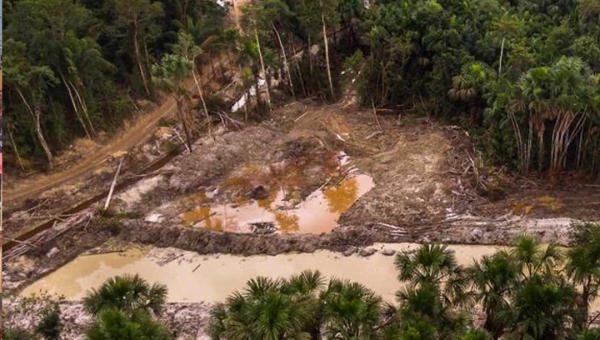 Dados do Imazon mostram que desmatamento no Acre cresceu em maio, em relação aos cinco primeiros meses de 2024