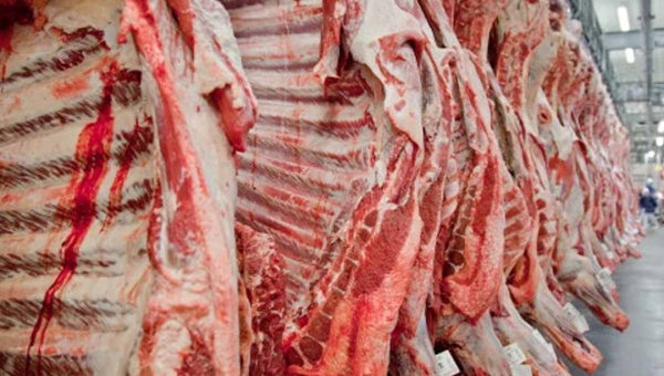 Número de bovinos abatidos no 2º trimestre de 2024 no Acre cresce, mostra pesquisa