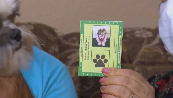 Cães e gatos vão ganhar carteira de identidade nacional