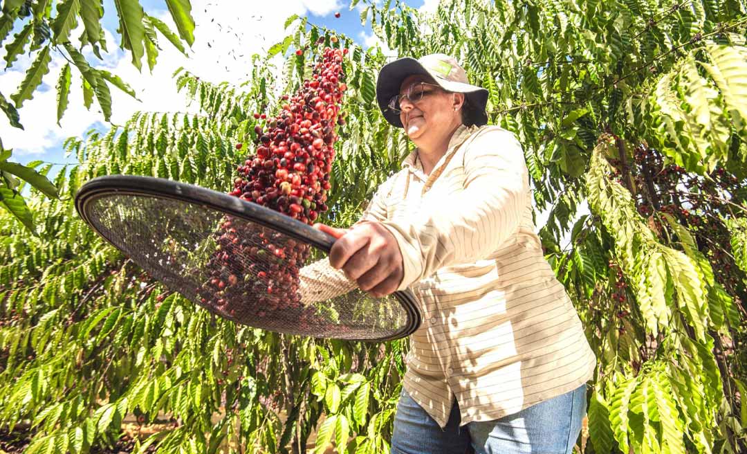 Acre lança pacote de leis para impulsionar agricultura familiar