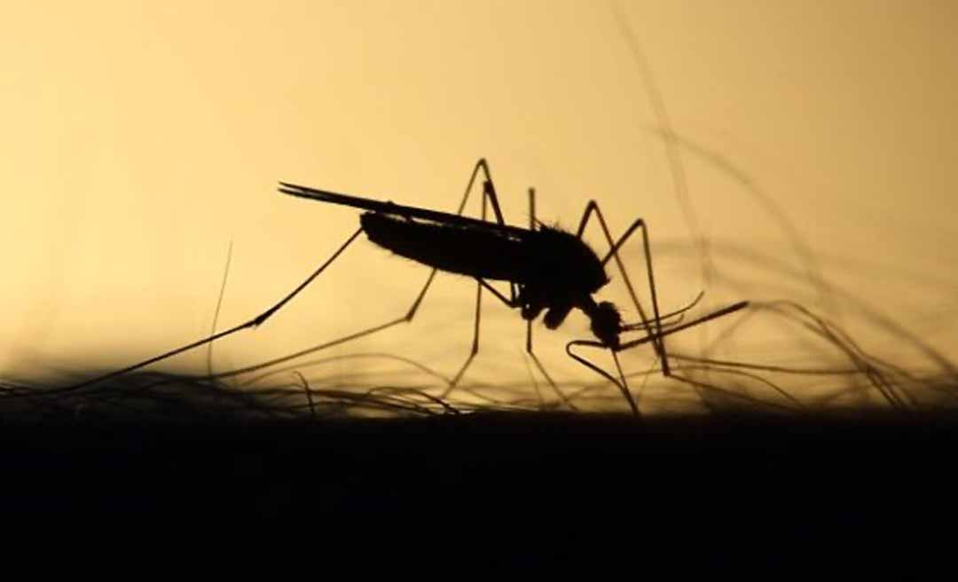 Ministério da Saúde anuncia novo plano de contingência para conter avanço da Dengue, Chikungunya e Zika no Estado do Acre