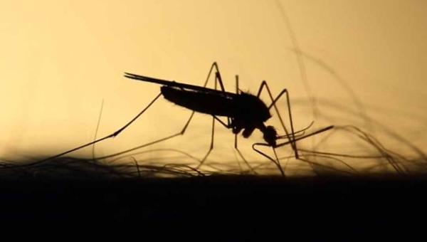 Ministério da Saúde anuncia novo plano de contingência para conter avanço da Dengue, Chikungunya e Zika no Estado do Acre