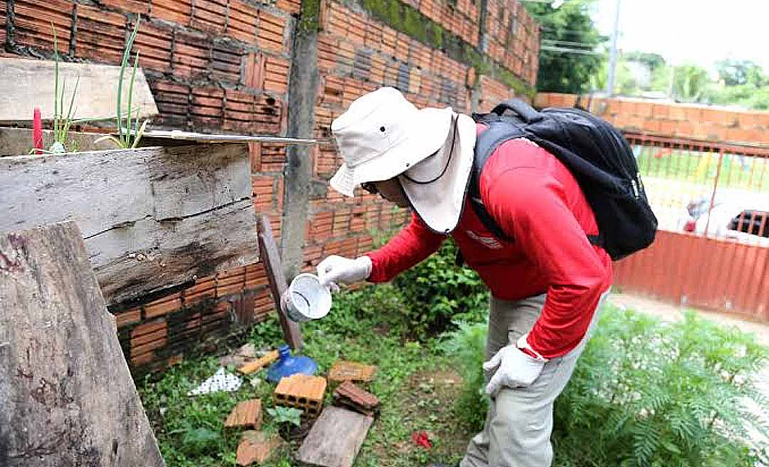 Médico alerta para casos de dengue tipo 3; Acre tem a maior taxa de casos por 100 mil habitantes