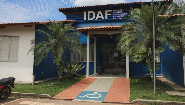 Delação premiada pode revelar novos detalhes sobre o envolvimento de servidores do Idaf no esquema criminoso investigado na Operação Fake Bois