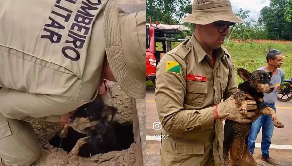 Equipe do Corpo de Bombeiros do Acre resgata cadelinha "Pipoca" após queda em bueiro em Rio Branco