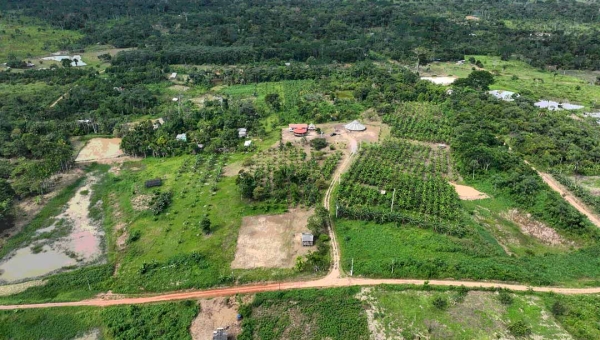 SOS Amazônia e Instituto Alok promovem mutirão de plantio de árvores no Centro Huwã Karu Yuxibu