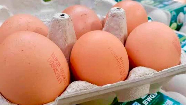 Prazo para carimbo em ovos a granel é adiado pelo Mapa; medida visa garantir segurança alimentar dos consumidores