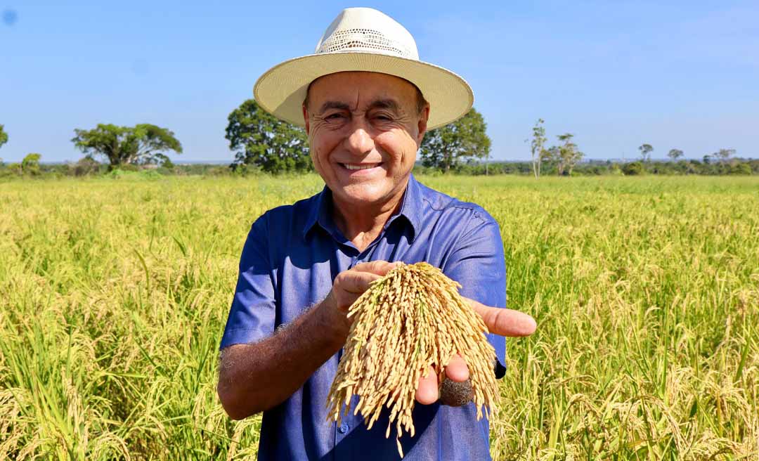 Bocalom visita campo experimental de sementes de arroz e destaca avanço da agricultura familiar: “Começamos a colher os frutos desse trabalho!”