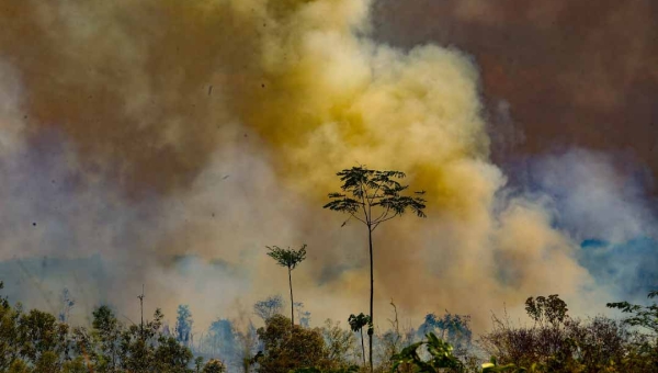 Em um ano, Acre registrou quase 9 mil focos de incêndios; maioria está em pequenas propriedades