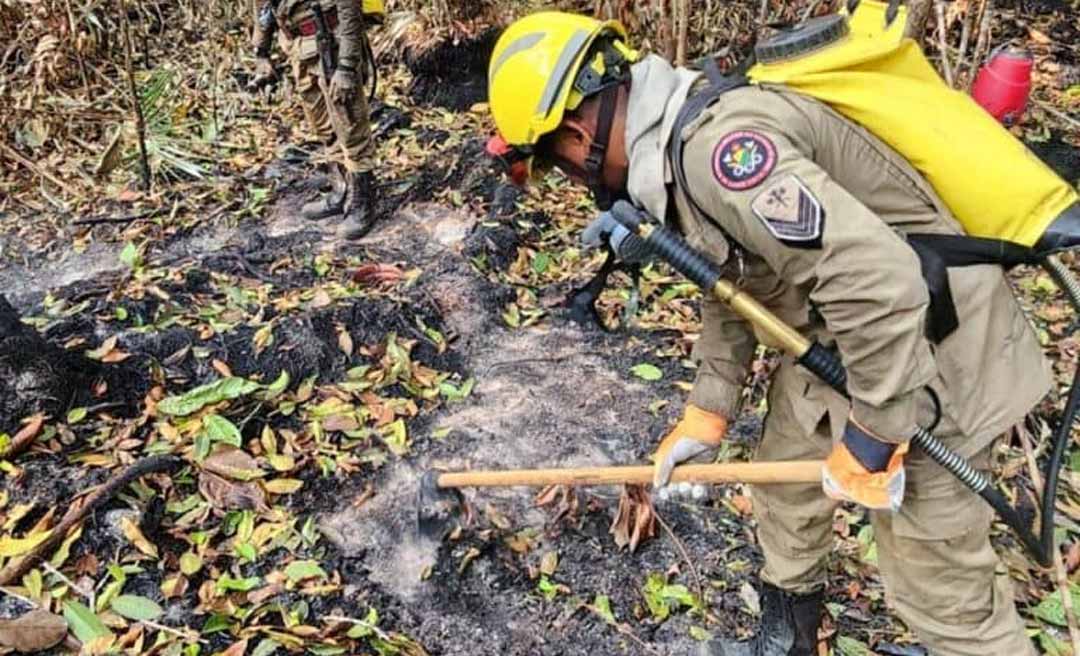Se adiantando às queimadas no Acre, Ibama autoriza contratação temporária de brigadistas