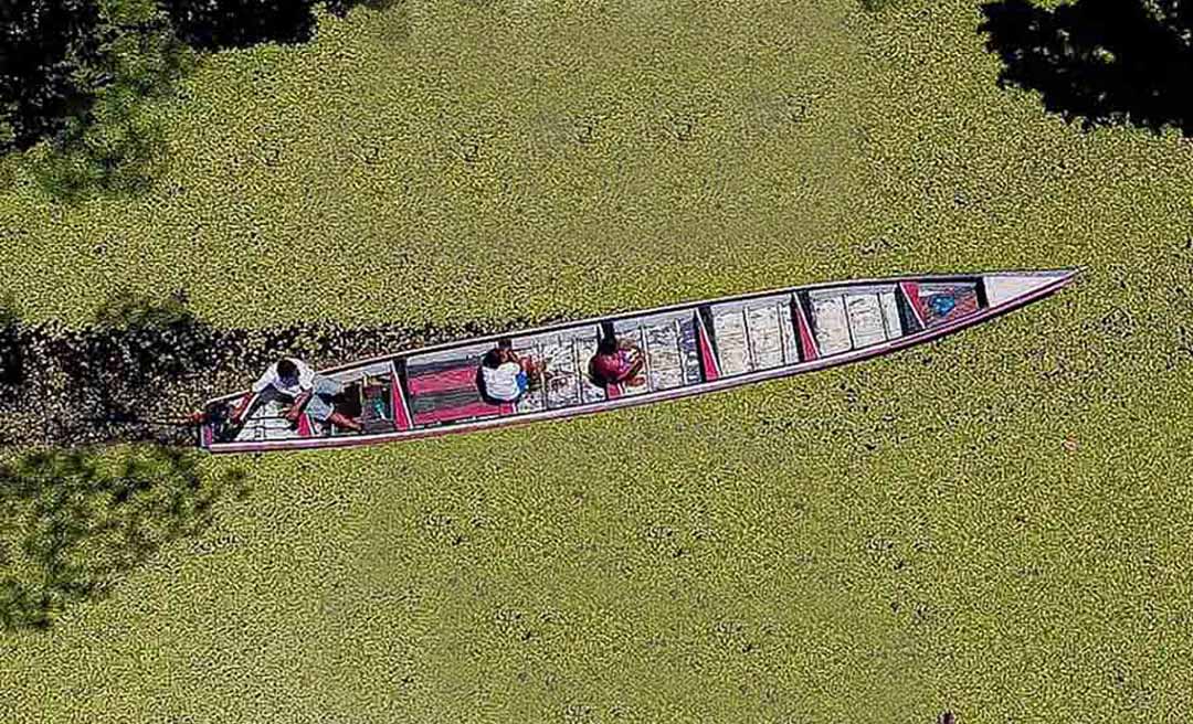 Bioeconomia Amazônica em pauta: Ministro das Relações Exteriores é presença confirmada no Txai Amazônia