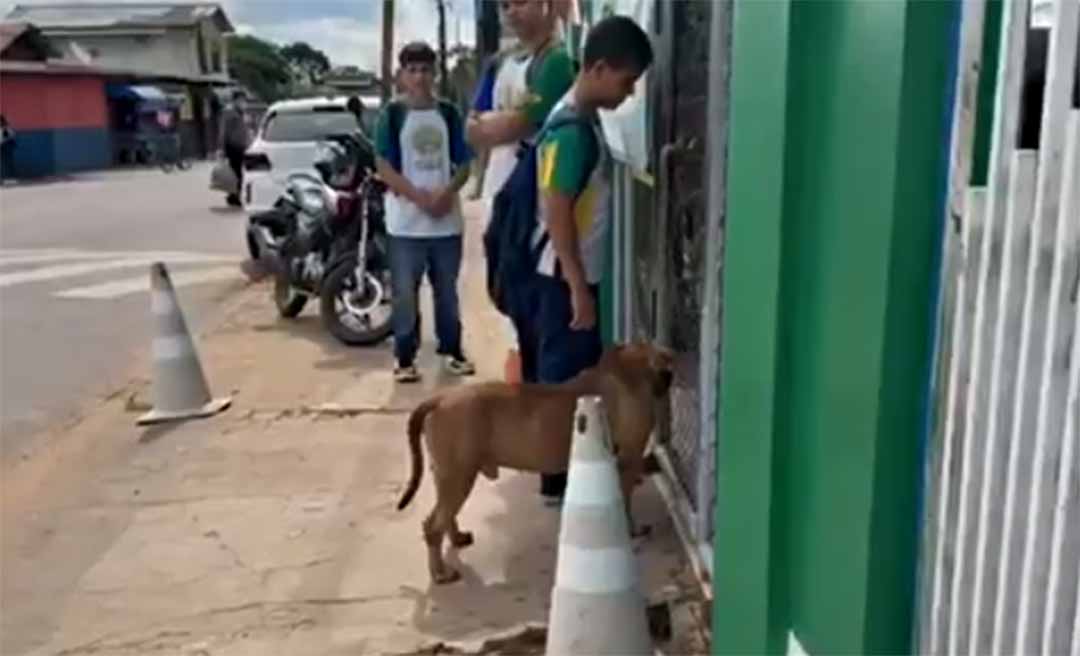 Pitbull invade escola pública no bairro Placas e causa tumulto na entrada de alunos