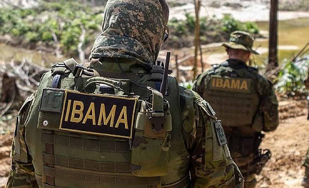 Ibama do Amazonas embarga áreas de terras no arco do desmatamento em Lábrea e Boca do Acre, cidades vizinhas ao Acre