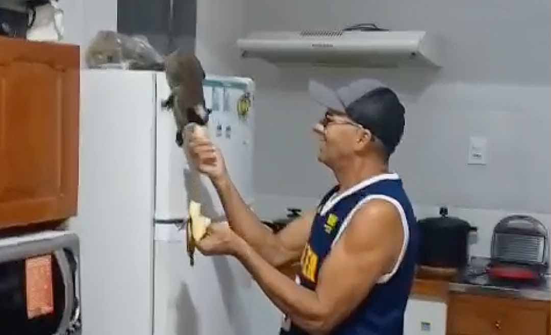 Filando a bóia! Casal se diverte com invasão de macacos bigodeiros em residência na zona urbana de Rio Branco