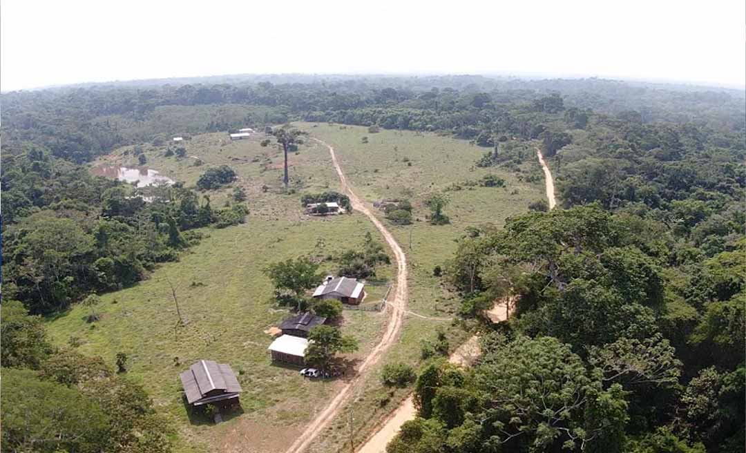 IBGE mostra que taxa de alfabetização dentro de unidades de conservação do Acre é menor que a nacional