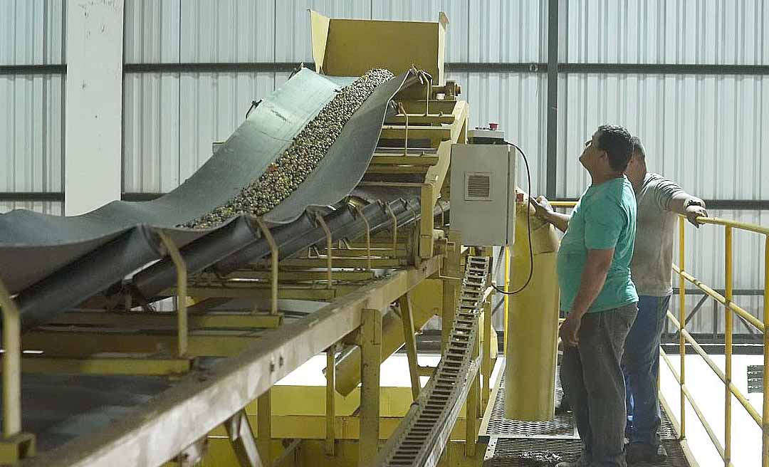 Capacitação fortalece cooperativismo da agricultura familiar no Complexo Industrial do Café do Juruá (AC)