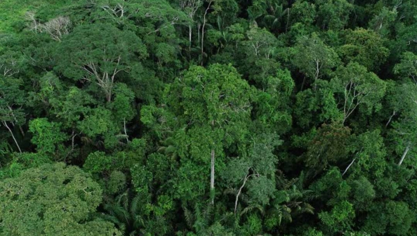 Com atuação conjunta entre órgãos da agenda ambiental, Acre reduz em 73% o número de focos de queimadas em julho